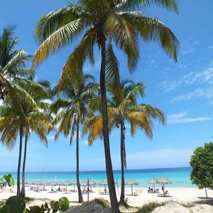 Cuba llena de palmeras y preciosas playas, viajar sin pagar de más